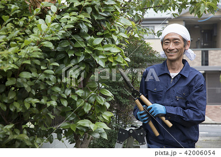 植木職人 植木職人 42006054