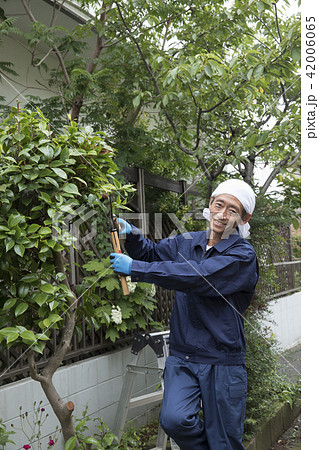 植木職人 42006065