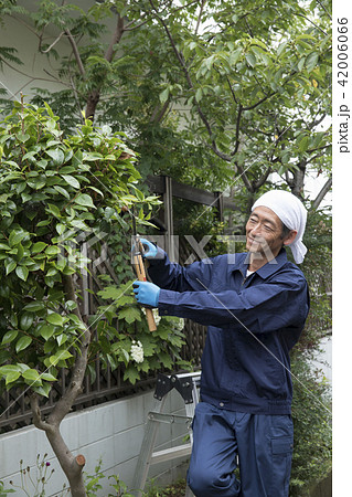 植木職人 植木職人 42006066