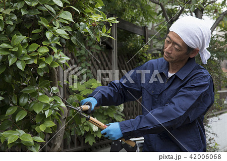 植木職人 42006068