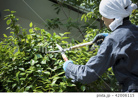 植木職人 42006115