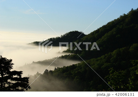 雲海の波打ち際（北海道津別峠） 42006131