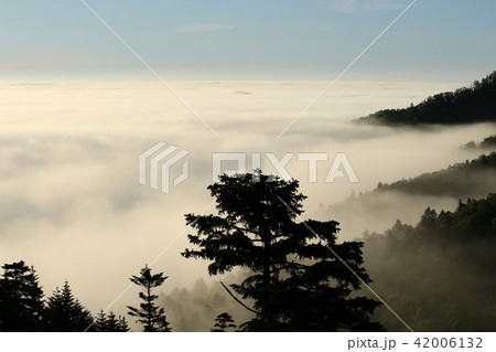 雲海の波打ち際(北海道津別峠) 雲海の波打ち際(北海道津別峠) 42006132