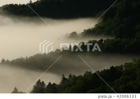 雲海の波打ち際（北海道津別峠） 42006133