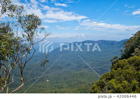 Jamison Valley in Blue Mountains in Australia 42006446