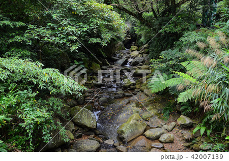 基隆 景色 風景 42007139