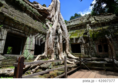 アンコール遺跡群 アンコール遺跡群 42007377