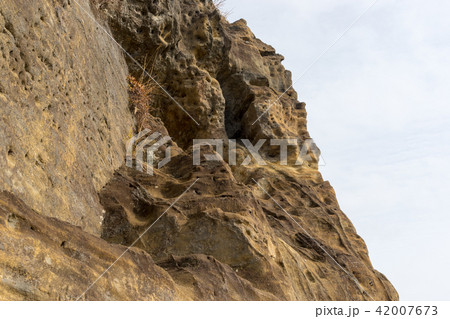 【神奈川県】ロッククライミング 42007673