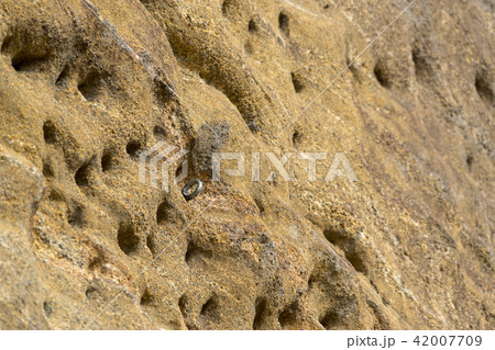 【神奈川県】ロッククライミング 42007709