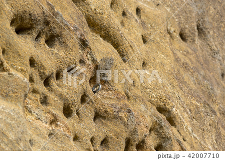 【神奈川県】ロッククライミング 【神奈川県】ロッククライミング 42007710