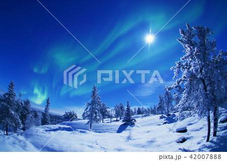 オーロラ 42007888