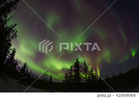 オーロラ,Aurora 42009069