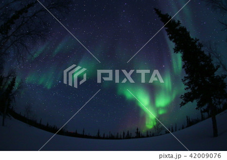 オーロラ,Aurora 42009076