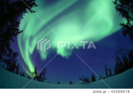 オーロラ,Aurora 42009078