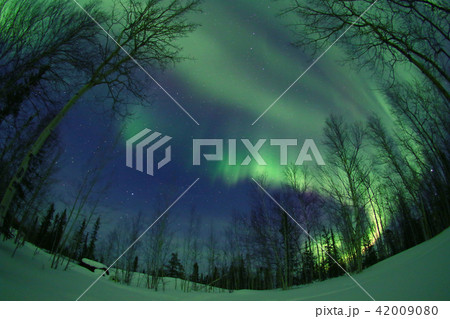 オーロラ,Aurora 42009080