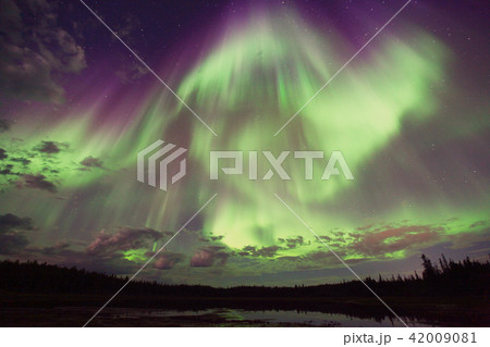 オーロラ,Aurora 42009081
