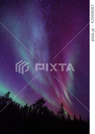 オーロラ,Aurora 42009087