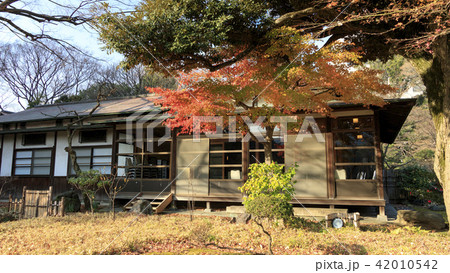 小石川後楽園の紅葉 42010542