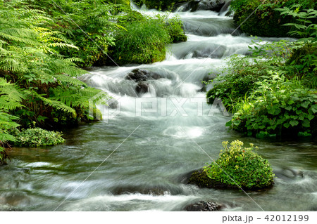 尚仁沢の流れ 42012199