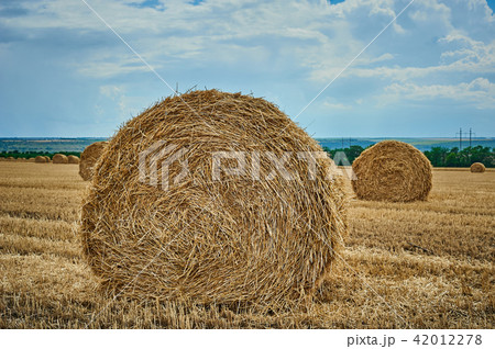 Hay bale field and beautiful blue sky 42012278