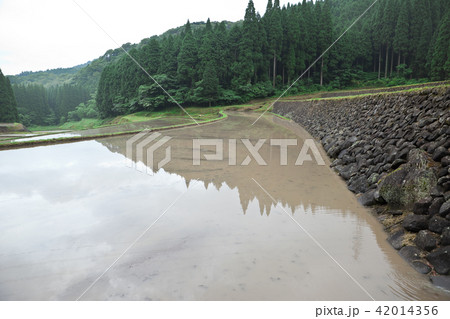 田植え前の棚田 田植え前の棚田 42014356