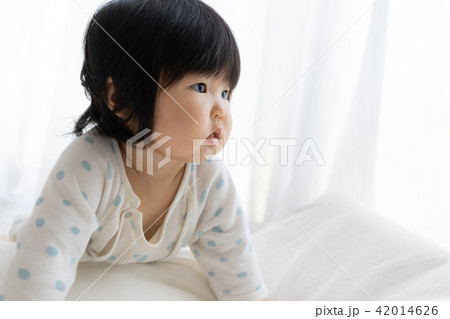 赤ちゃん 赤ちゃん 42014626