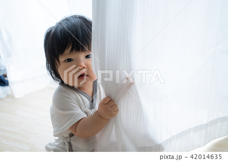 赤ちゃん 42014635