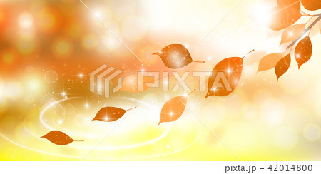 紅葉　葉　秋　背景  42014800