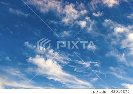 空 42014873