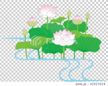 Lotus Flower Stock Illustration
