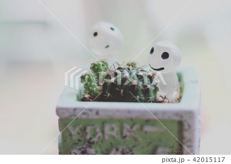 のんびりいこう のんびりいこう 42015117