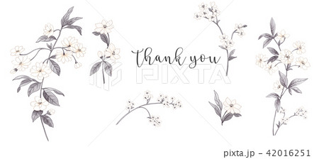 透明水彩 水彩画 背景 42016251