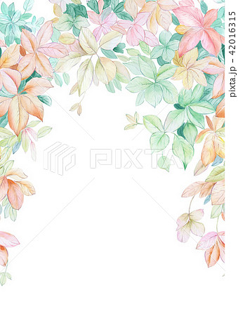 透明水彩 水彩画 花 42016315