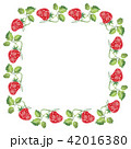苺　囲み　四角 42016380