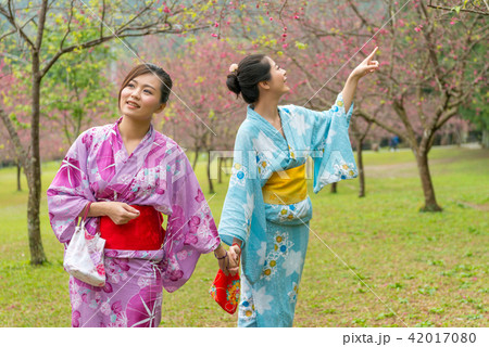 ladies holding hands under the cherry tree ladies holding hands under the cherry tree 42017080
