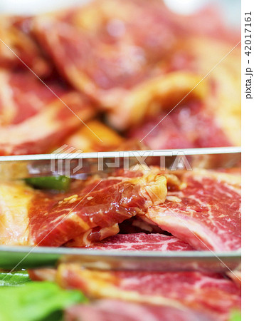 ラム肉(味付け生肉)縦構図 ラム肉(味付け生肉)縦構図 42017161