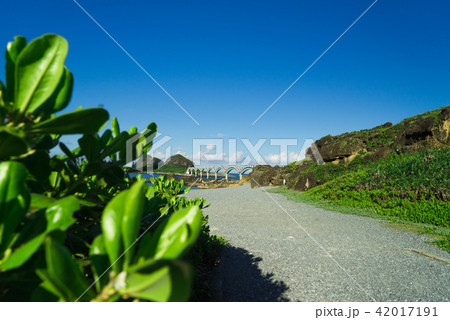 景色 風景 台湾 42017191