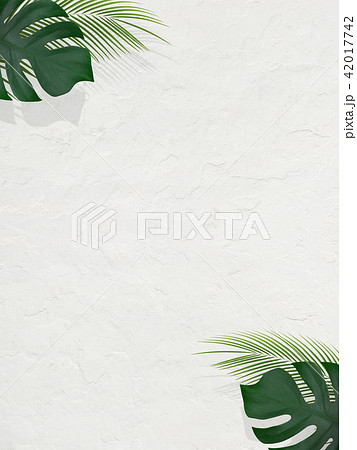 背景 夏 南国 植物 白壁のイラスト素材