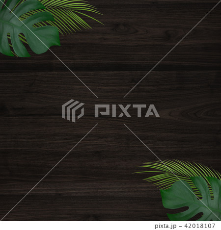 背景-夏-南国-植物-木目-壁 42018107
