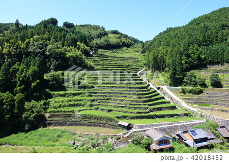 石積みの棚田(八女市星野村)2018年は豪雨水害の為田植えができないとのこと。水路破損のため。 石積みの棚田(八女市星野村)2018年は豪雨水害の為田植えができないとのこと。水路破損のため。 42018432