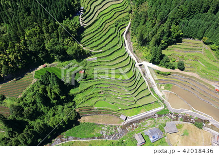 石積みの棚田（八女市星野村）2018年は豪雨水害の為田植えができないとのこと。水路破損のため。 42018436