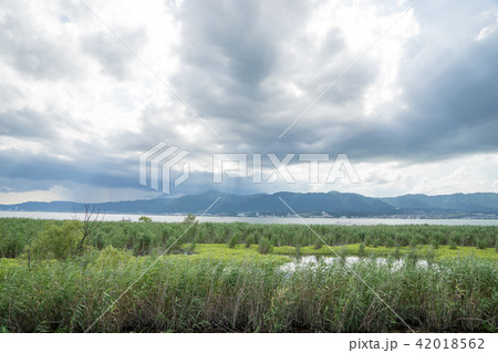 琵琶湖畔 琵琶湖畔 42018562