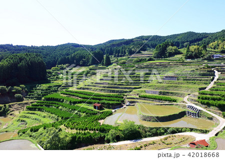 田植え後の鹿里の棚田（八女市星野村）　天空の里鹿里（ろくり） 42018668