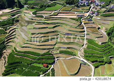 田植え後の鹿里の棚田（八女市星野村）　天空の里鹿里（ろくり） 42018674