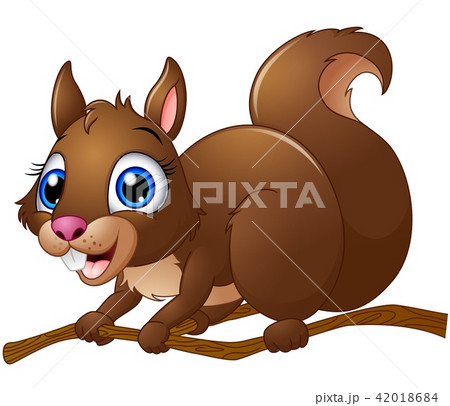 Cartoon Squirrel Cartoon Squirrel 42018684