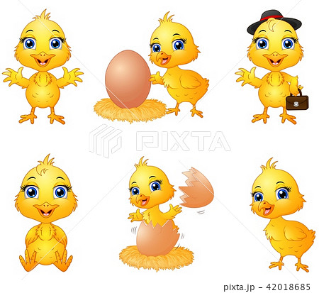 Set of cute cartoon baby chick  42018685