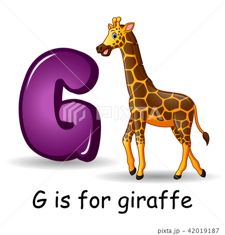 Animals alphabet: G is for Giraffe  42019187