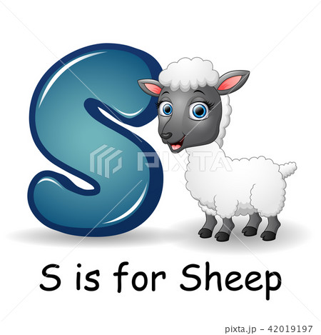 Animals alphabet: S is for Sheep Animals alphabet: S is for Sheep 42019197