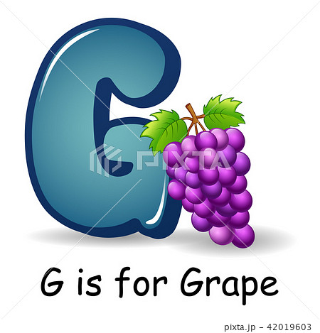 Fruit alphabet: G is for Grape  42019603