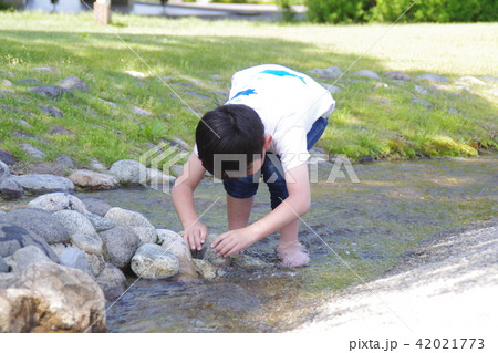 川水遊びの男の子 川水遊びの男の子 42021773